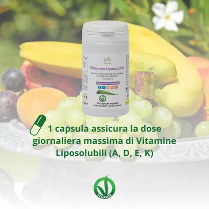 Vitamine Liposolubili, Coenzima Q10 e Aloe Vera – 60 cps