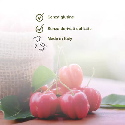 Natural C- Vitamina C da Acerola e Rosa Canina – 1 L